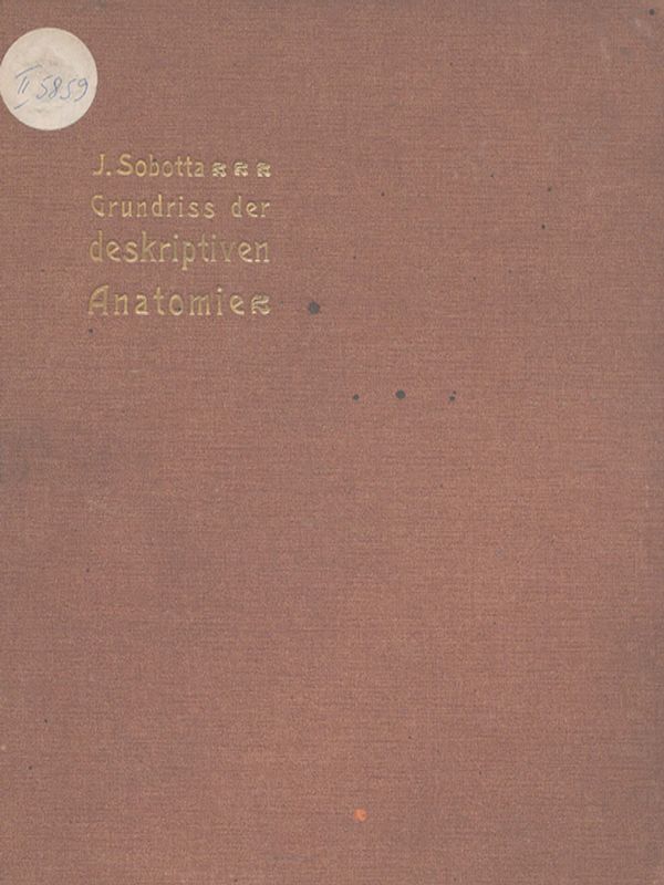 Grundriss der deskriptiven Anatomie des Menschen