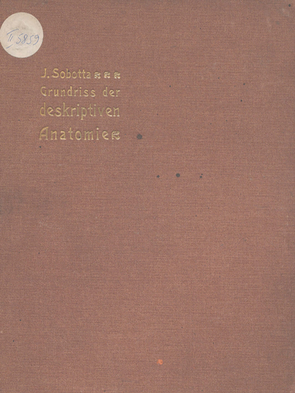 Grundriss der deskriptiven Anatomie des Menschen