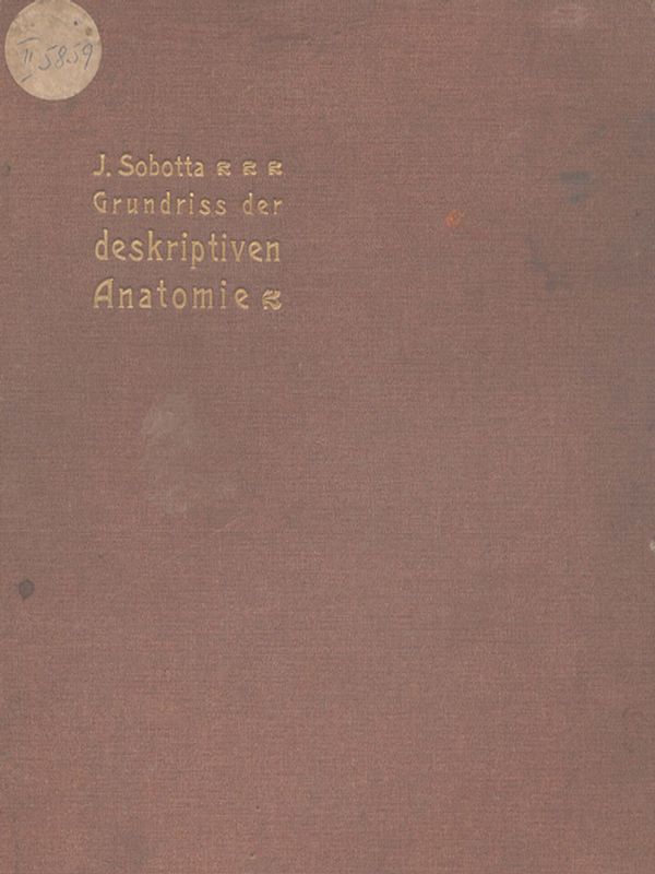 Grundriss der deskriptiven Anatomie des Menschen