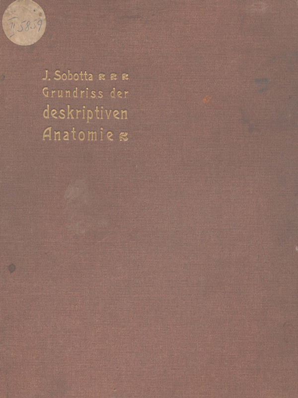 Grundriss der deskriptiven Anatomie des Menschen