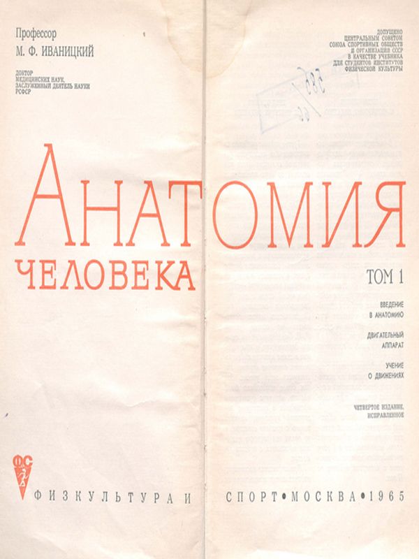 Анатомия человека