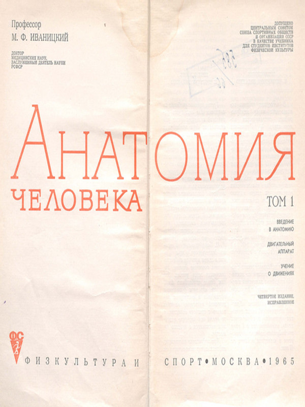 Анатомия человека