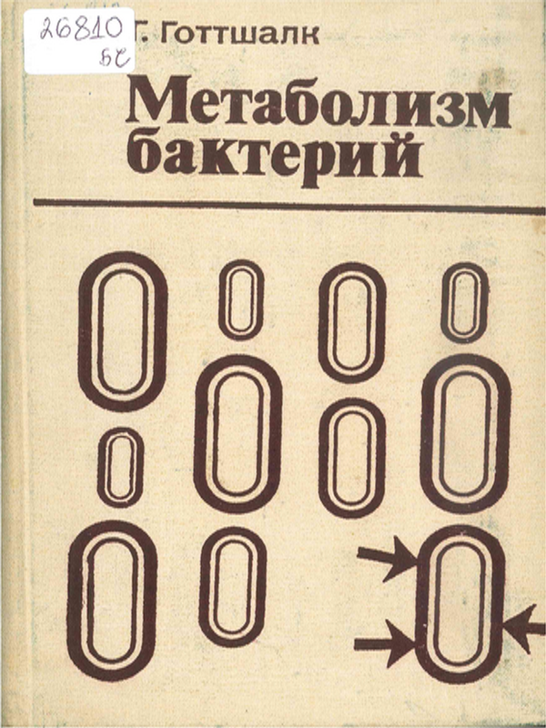 Метаболизм бактерий