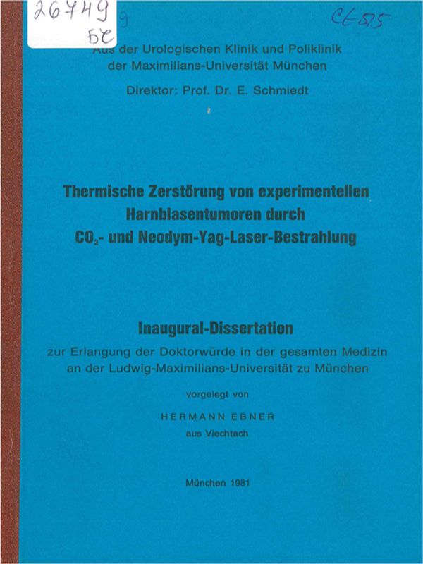Thermische Zerstorung von experimentellen Harnblasentumoren durch CO2- und Neodym-Yag-Laser-Bestrahlung