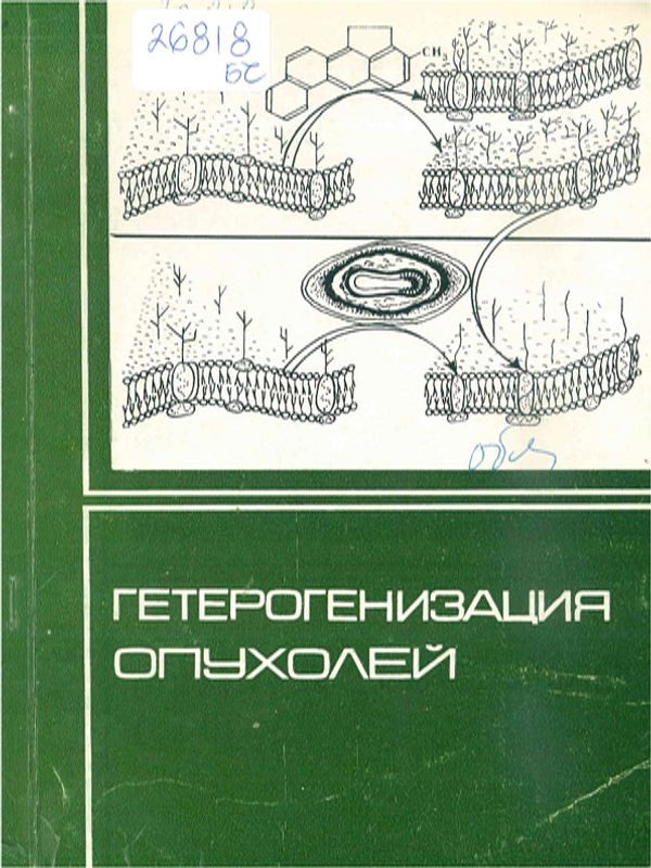 Гетерогенизация опухолей