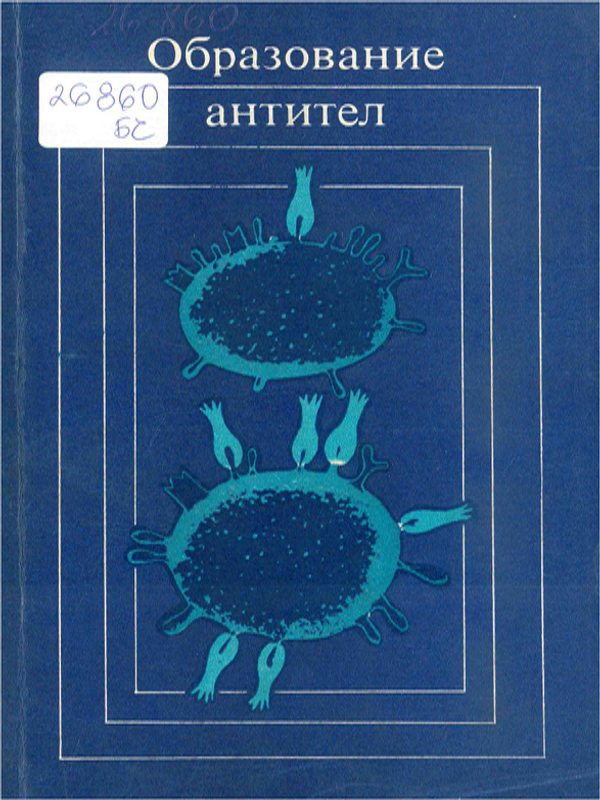 Образование антител