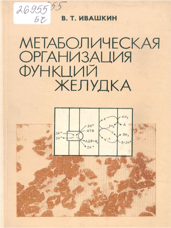 Метаболическая организация функций желудка