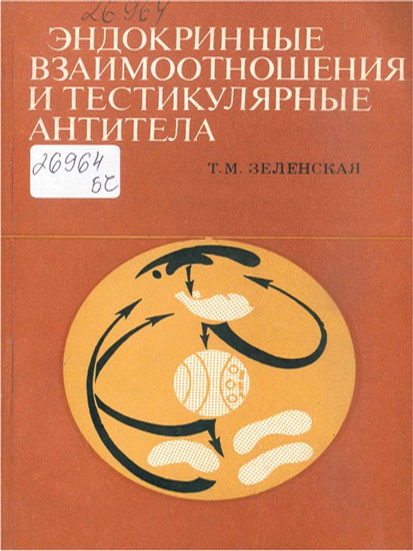 Эндокринные  взаимоотношения и тестикулярные антитела