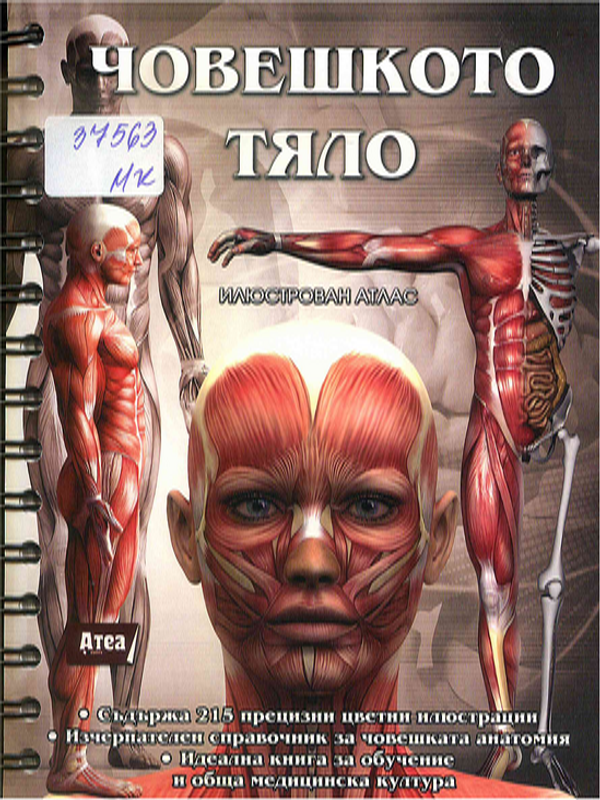 Човешкото тяло