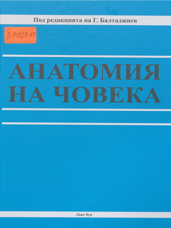 Анатомия на човека