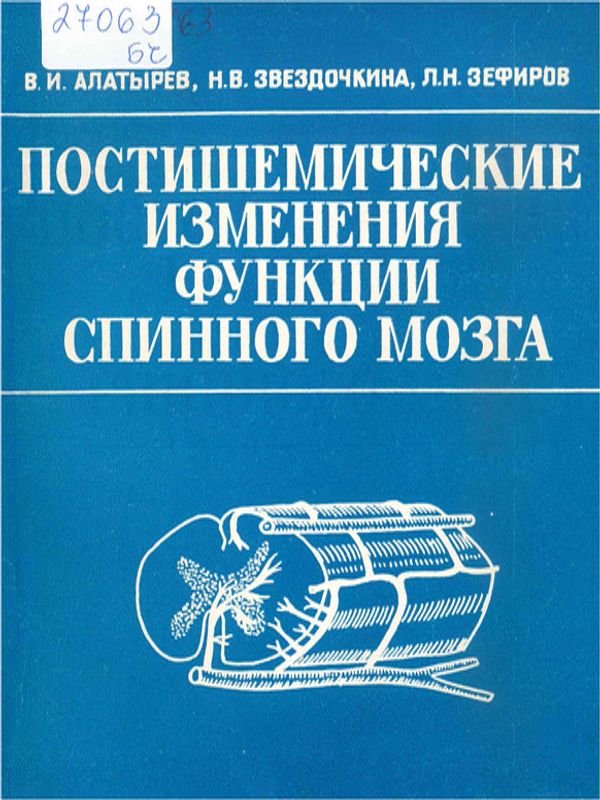 Постишемические изменения функций спинного мозга