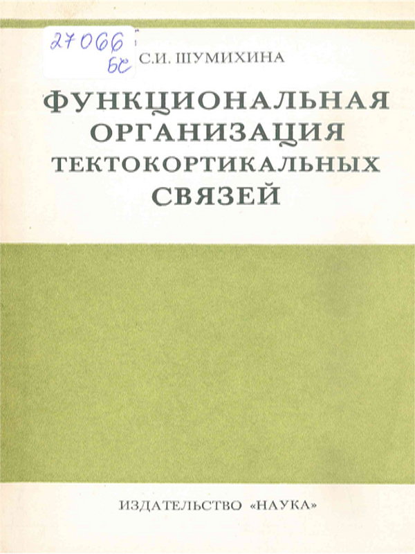 Функциональная организация тектокортикальных связей