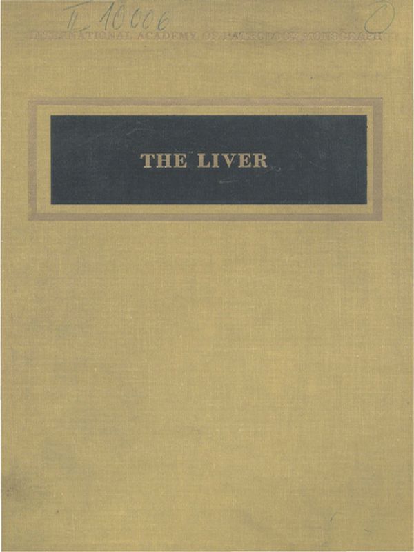 The liver