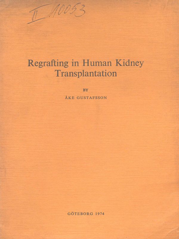 Regrafting in human kidney transplantation