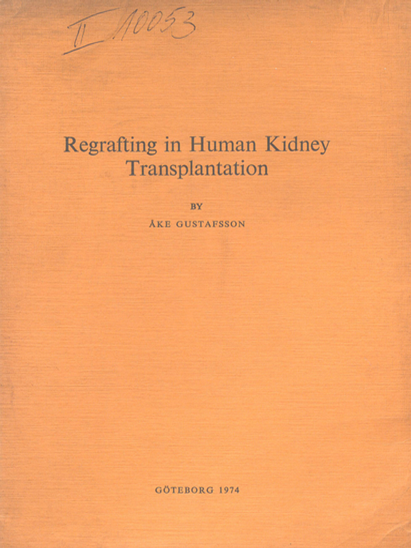 Regrafting in human kidney transplantation