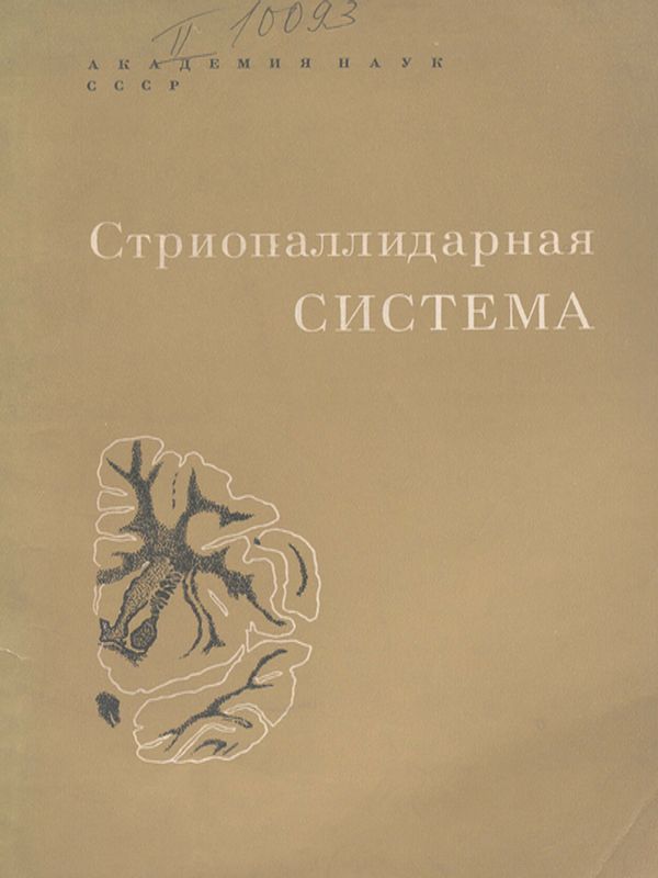 Стриопаллидарная система