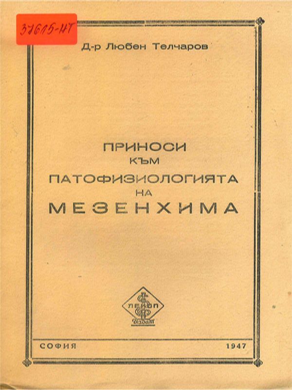 Приноси към патофизиологията на мезенхима