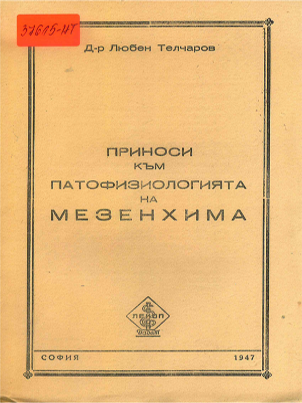 Приноси към патофизиологията на мезенхима