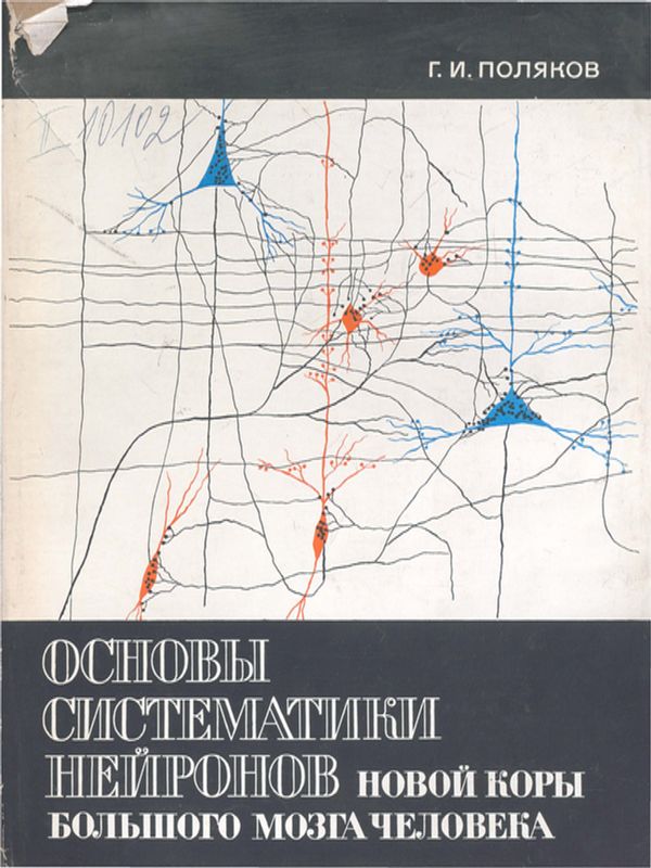Основы систематики нейронов новой коры большого мозга человека