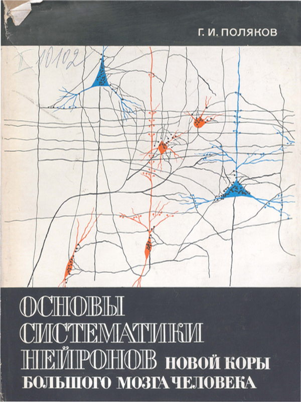 Основы систематики нейронов новой коры большого мозга человека