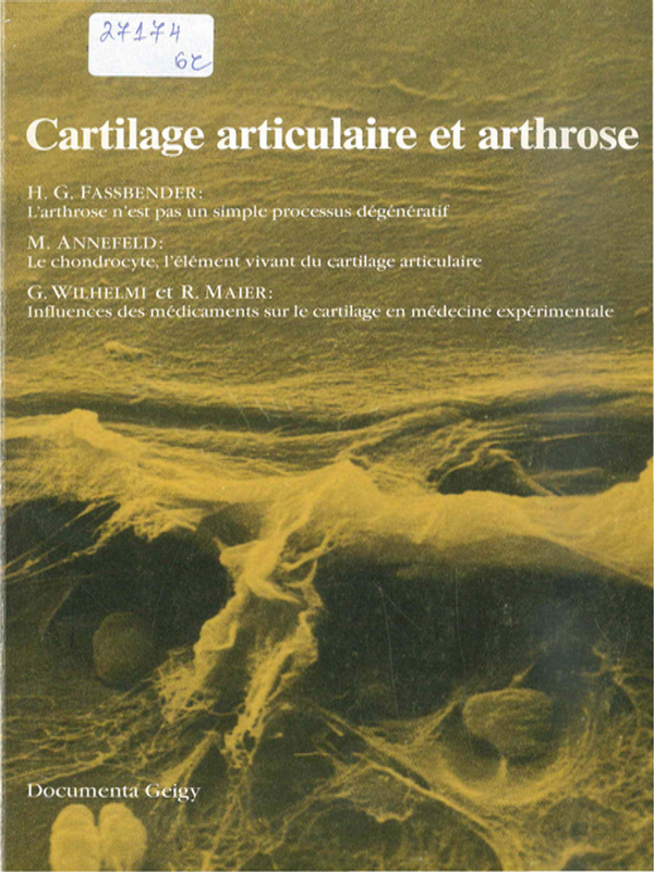 Cartilage articulaire et arthrose