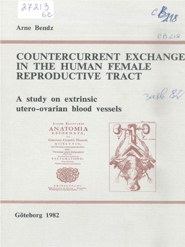 Countercurrent exchange in the human female reproductive tract