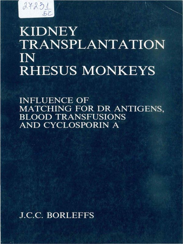 Kidney transplantation in Rhesus monkeys