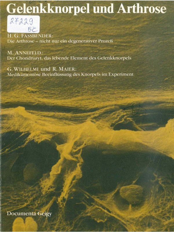 Gelenkknorpel und Arthrose