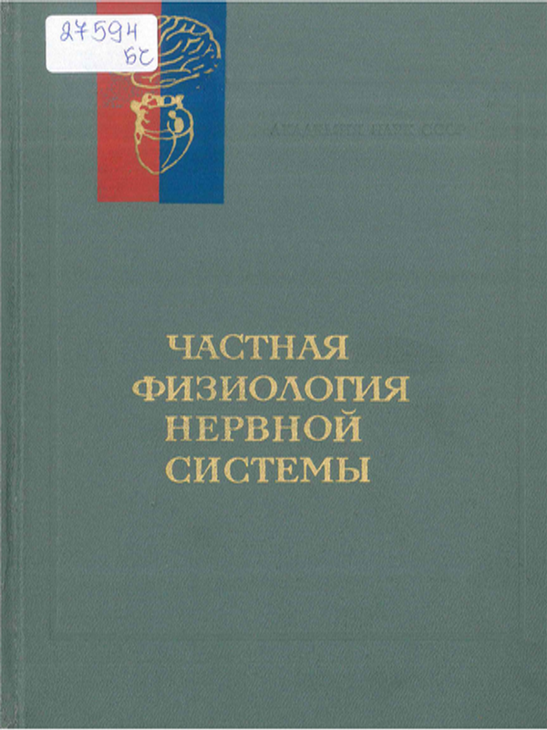 Частная физиология нервной системы