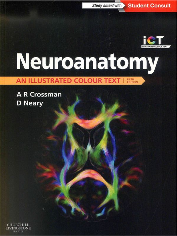Neuroanatomy