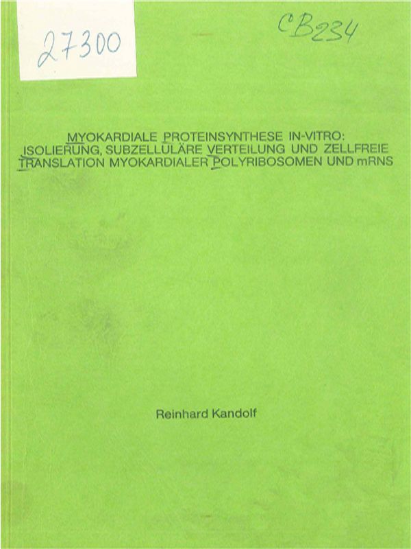 Myokardialle Proteinsynthese in-vitro: Isolierung, subzellulare Verteilung und zellfreie Translation myocardialer Polyribosomen und mRNS