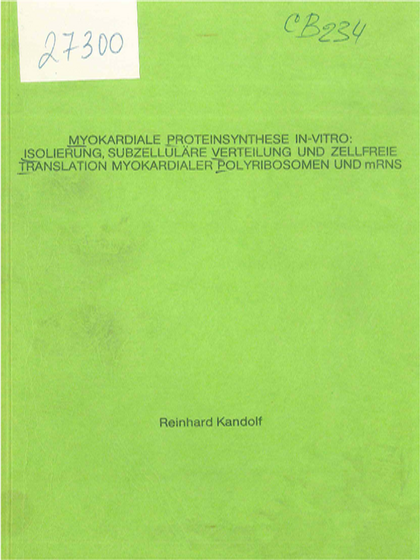 Myokardialle Proteinsynthese in-vitro: Isolierung, subzellulare Verteilung und zellfreie Translation myocardialer Polyribosomen und mRNS