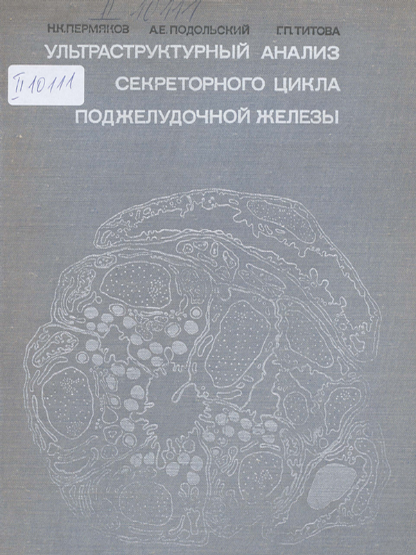 Ультраструктурный анализ секреторного цикла поджелудочной железы