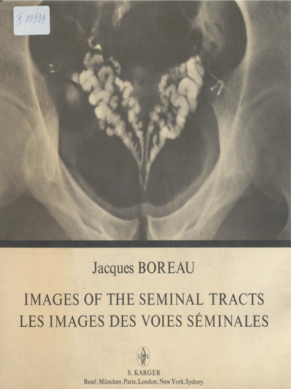 Images of the Seminal Tracts