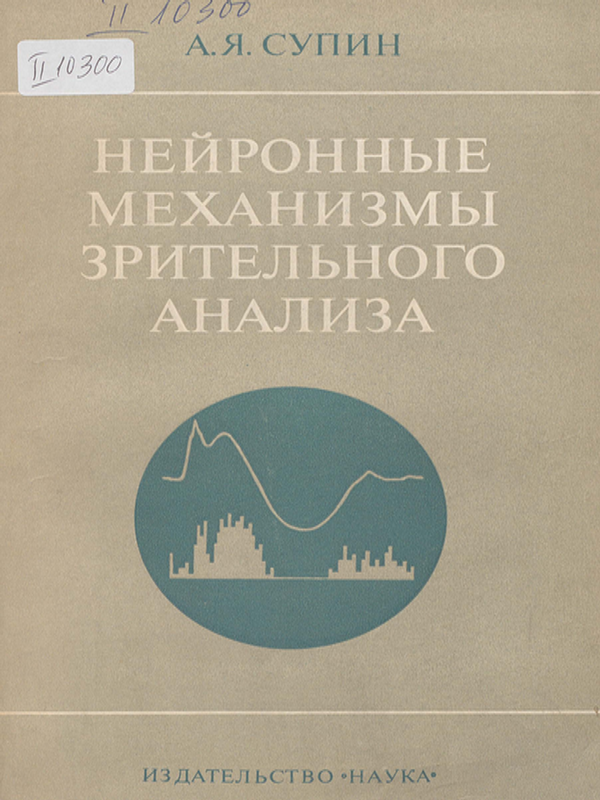 Нейронные механизмы зрительного анализа