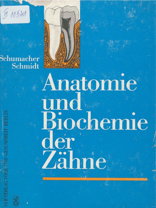 Anatomie und Biochemie der Zahne