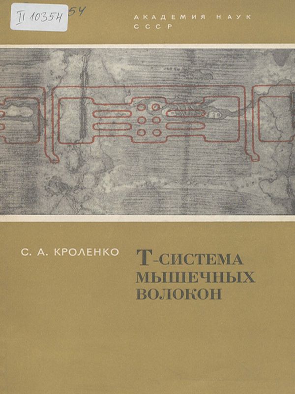 Т-система мышечных волокон