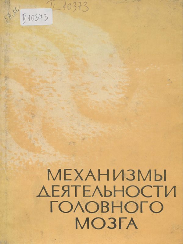 Механизмы деятельности головного мозга