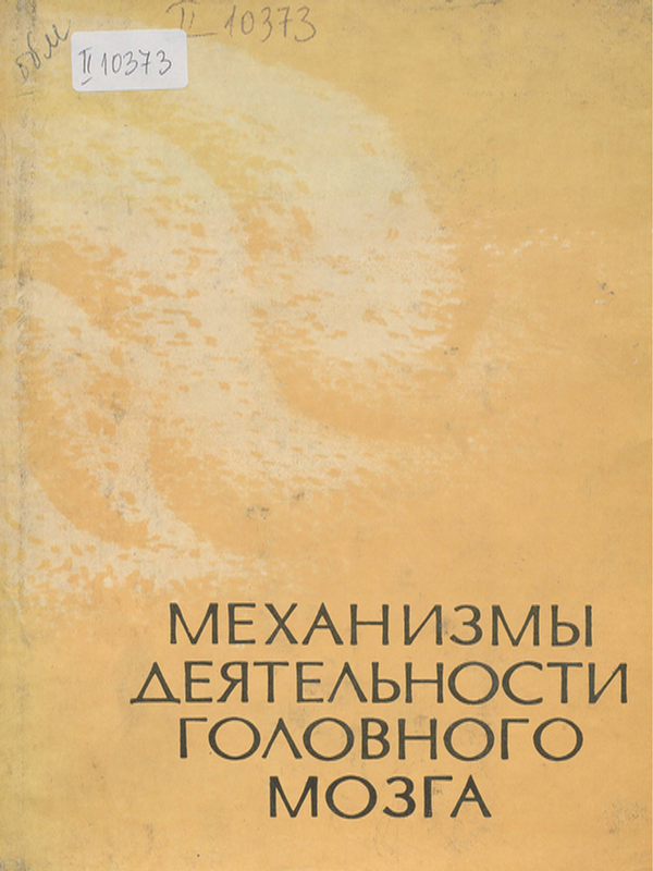 Механизмы деятельности головного мозга