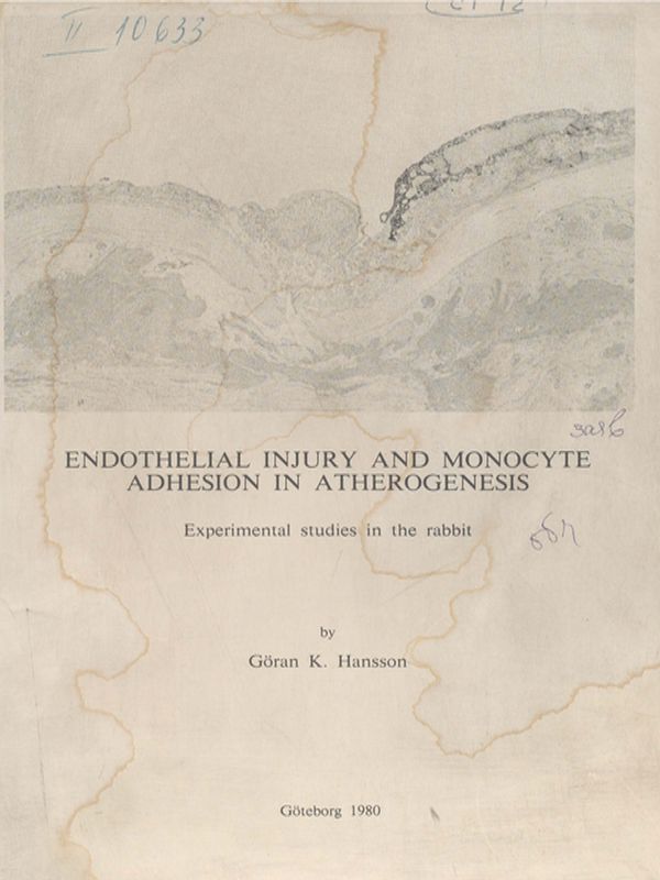 Endothelial Injury and Monocyte Adhesion in Atherogenesis