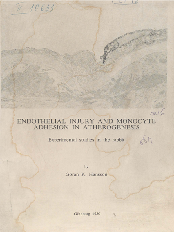 Endothelial Injury and Monocyte Adhesion in Atherogenesis
