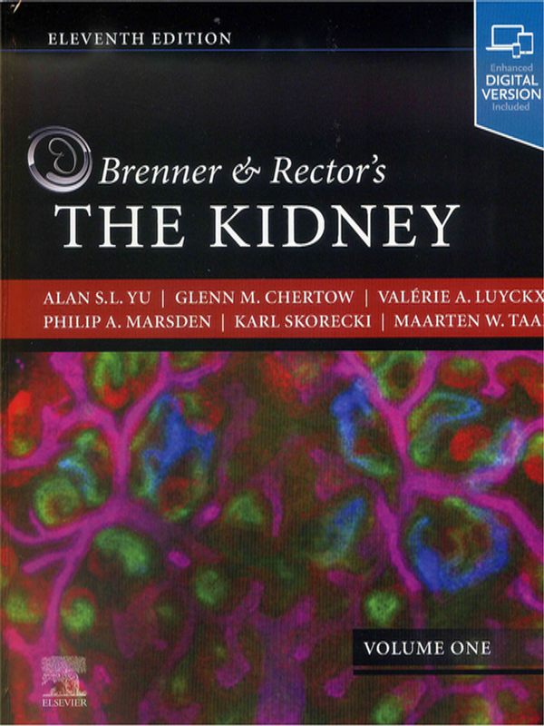 Brenner and Rector`s the kidney