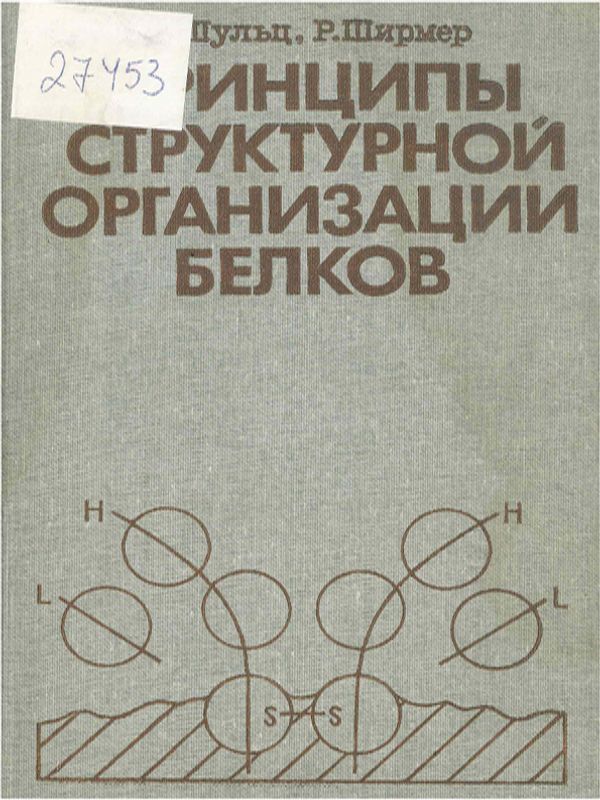 Принципы структурной организации белков