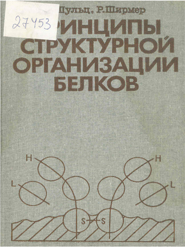 Принципы структурной организации белков