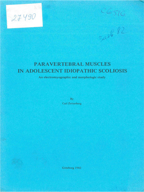 Paravertebral muscles in adolescent idiopathic scoliosis