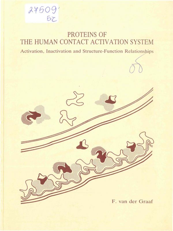 Proteins of the human contact activation system
