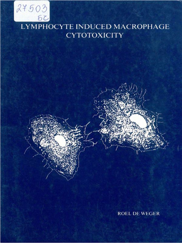 Lymphocyte induced macrophage citotoxicity