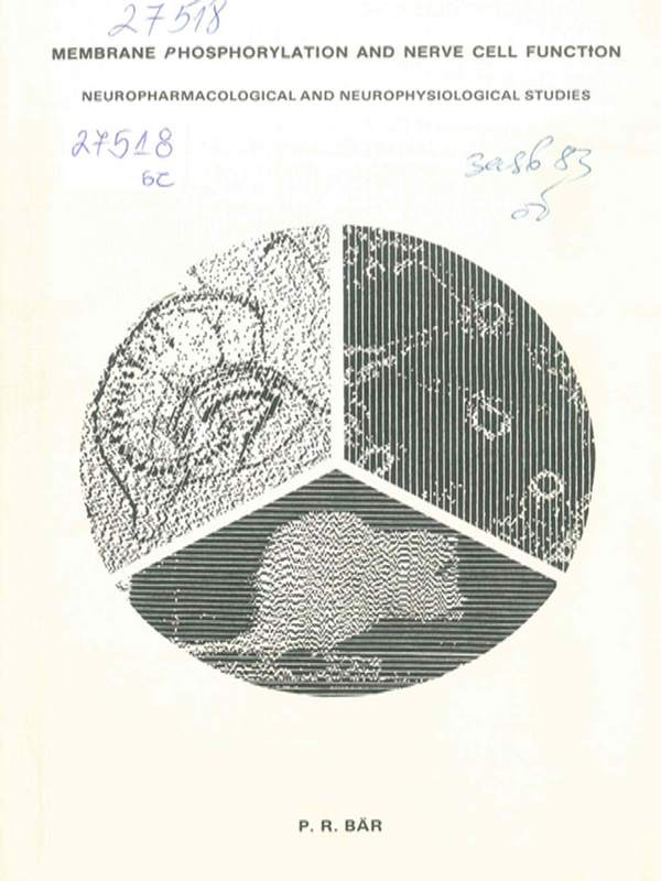 Membraine phosphorylation and nerve cell function