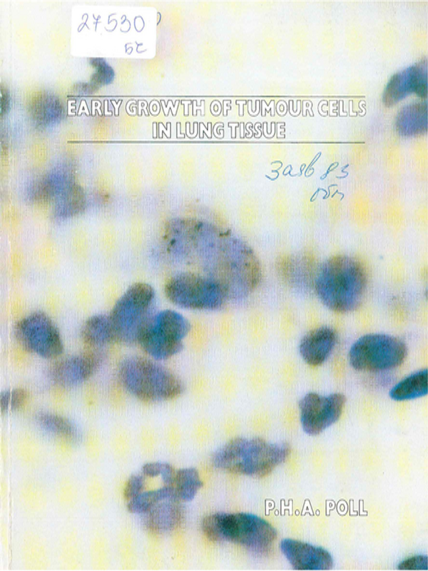 Early growth of tumour cells in lung tissue