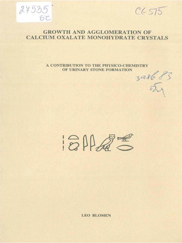 Growth and agglomeration of calcium oxalate monohydrate crystals